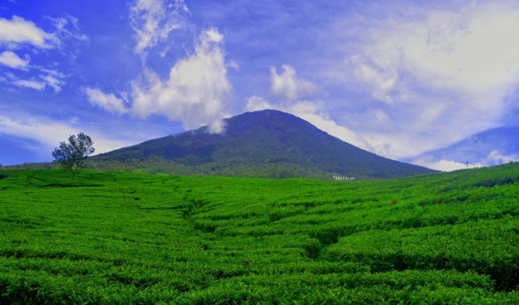 Hiking Gunung Dempo